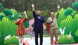 华姿酒店爆料视频大全最新,揭秘酒店幕后真相